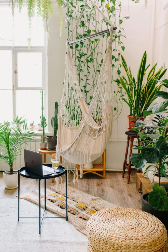 An image of a modern living room interior contrasted my green houseplant accent pieces. 