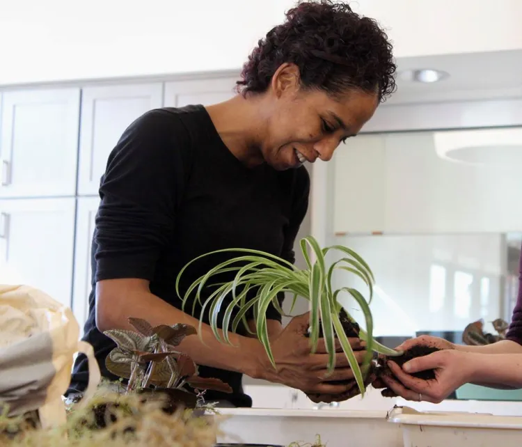 A woman potting a spider plant and learning how to take care of houseplants with a friend. 