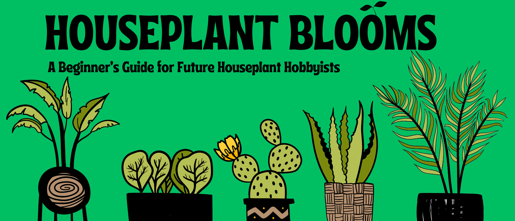 How to Take Care of Houseplants