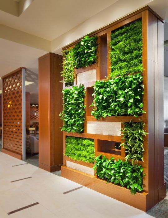 An image of a modern indoor vertical garden also known as a "living wall". 